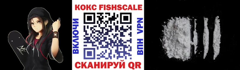 мега вход  где продают   Нижняя Салда  КОКАИН Fish Scale 