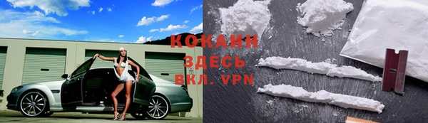 стаф Михайловск