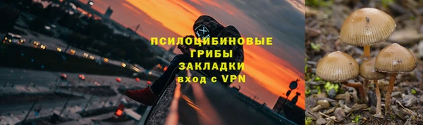 ПСИЛОЦИБИНОВЫЕ ГРИБЫ Михайловка