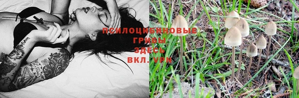 мескалин Нязепетровск