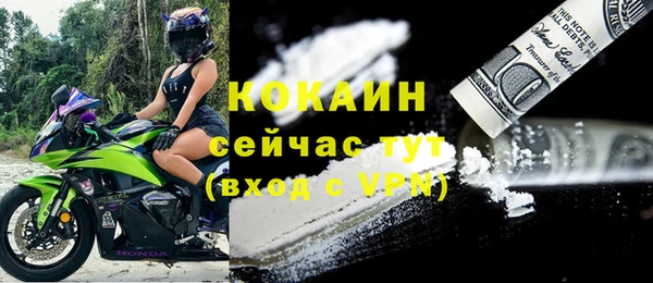 стаф Михайловск