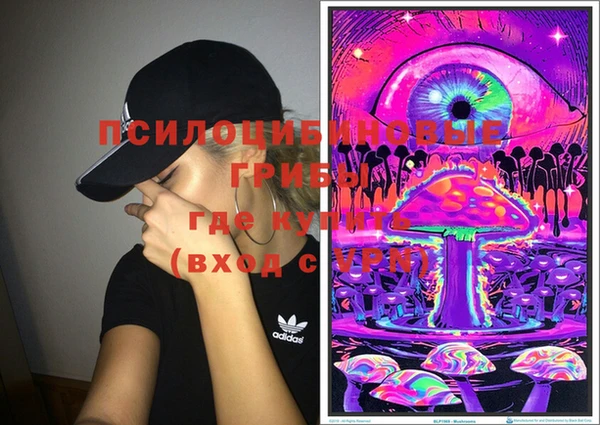 молекула духа Валдай