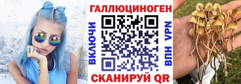 blacksprut ONION Нижняя Салда Галлюциногенные грибы Psilocybine cubensis